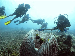 Menyusuri Objek Wisata Pulau Lombok