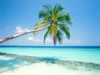 tropical island pictures. Focus: Tranquil, tropical,