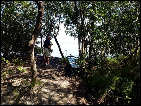 16 - Snake Bight throught the Mangroves
