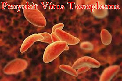 http://iroskesehatanherbal.blogspot.com/2018/10/cara-tradisional-mengobati-virus.html