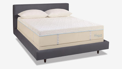 http://www.blackfridaymattress.org/