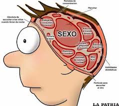 Imagen del cerebro del hombre