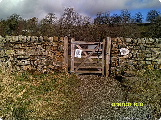 teesdale fellwalking reccy 014