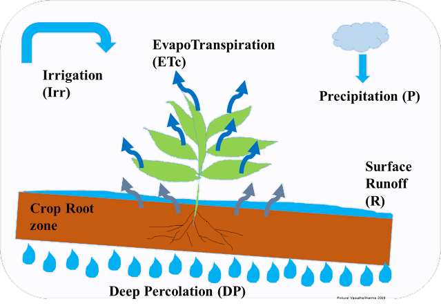 جدولة الري Irrigation Scheduling - كلية الهندسة الزراعية