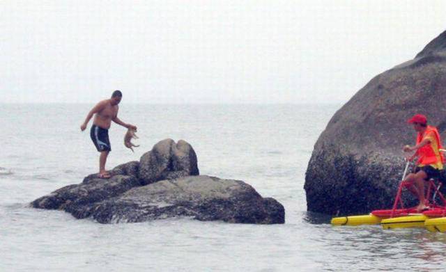 IdIot throws puppy in sea