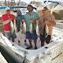 Cabo San Lucas Fishing Report February 6 to 12, 2016