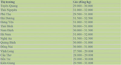 Giá heo hơi hôm nay (29/8): Miền Bắc tăng mạnh, miền Nam giảm nhẹ 