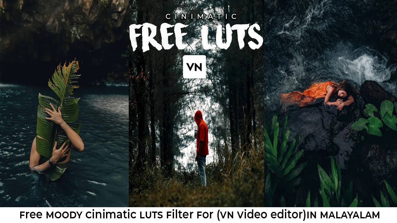 Free Lut filter for VN-video editor