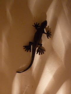 Gecko