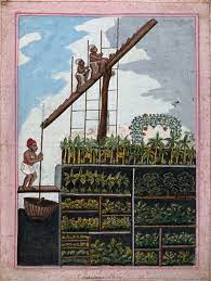 Indian Agricultural History