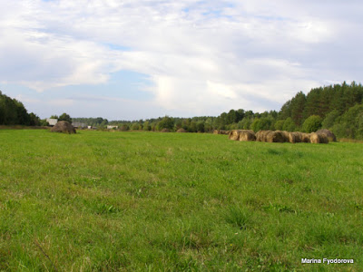 россия, карелия, деревни заонежья, Заонежье, мир заонежья, родник три ивана, 