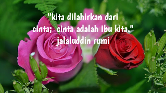 Kata Mutiara Islami Rumi Kutipan Kehidupan, Cinta, Dan Motivasi