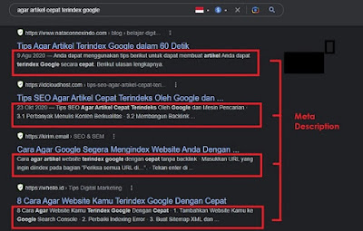 contoh meta description yang dipilih google