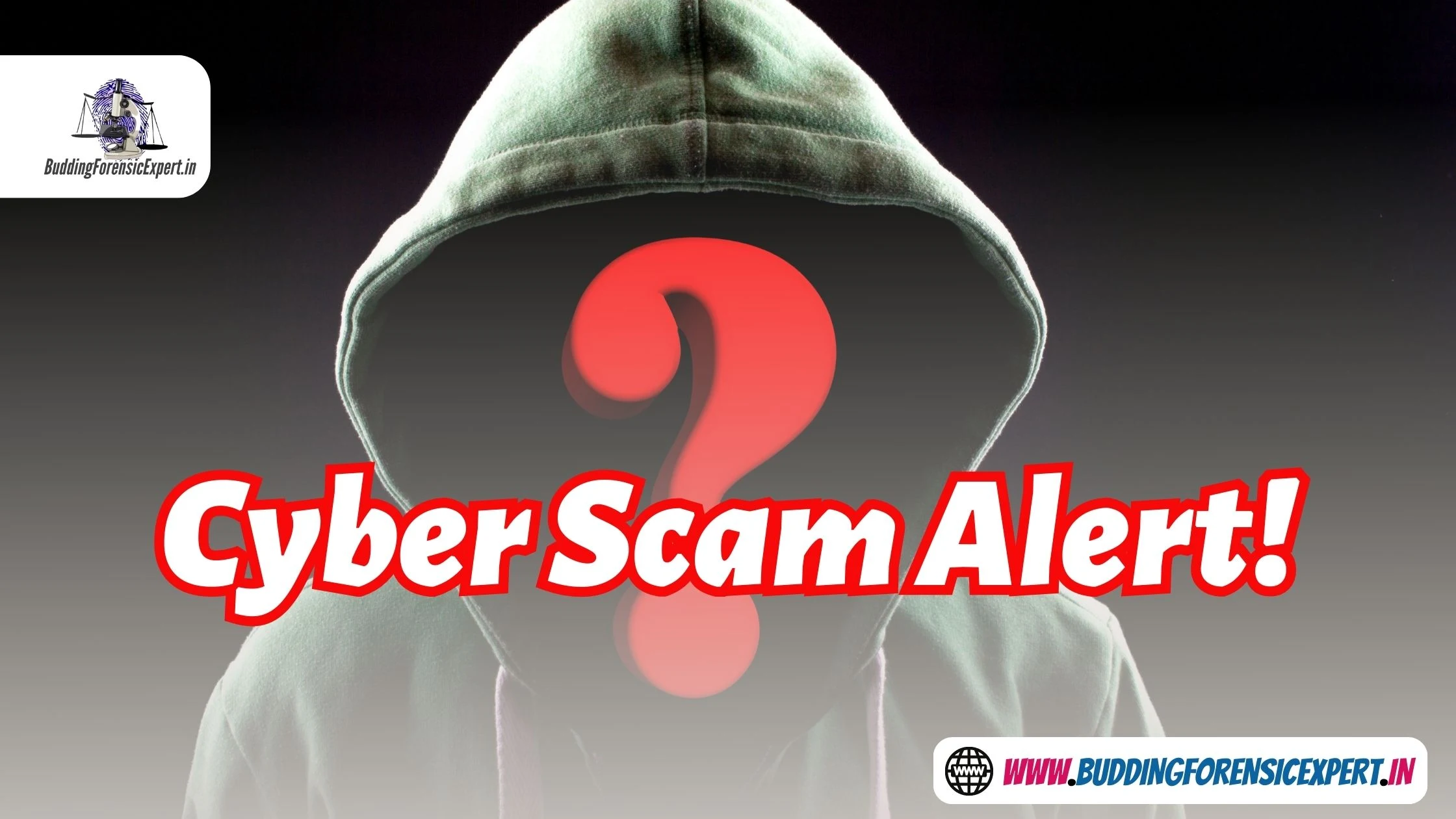 Cyber Scam Alert