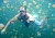 Swimming with Jellyfish