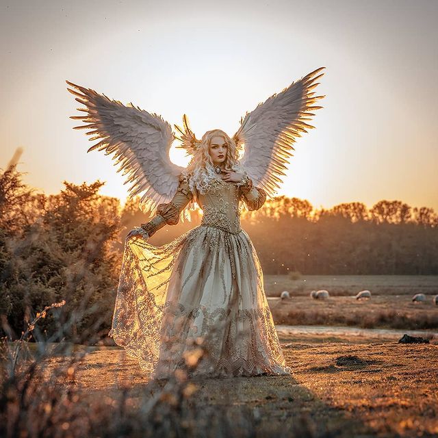 angel wings background
