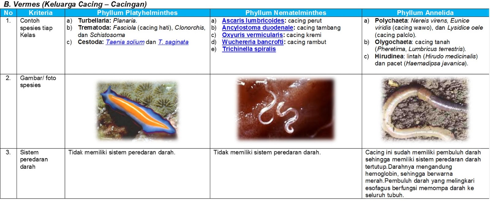  Sistem  Sirkulasi  Vertebrata dan Invertebrata  Skypiea