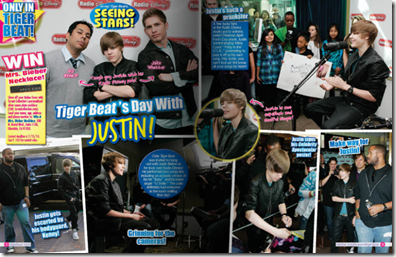 tiger beat2