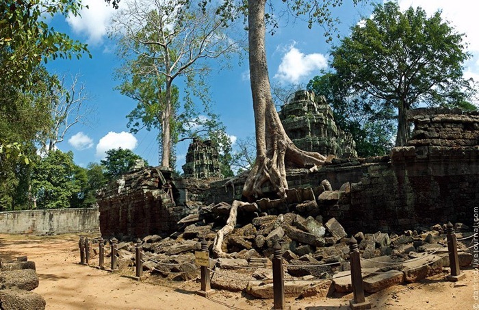 ta-prohm3 ta-prohm3
