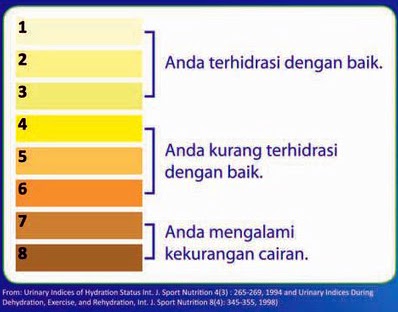 Indikasi Warna Urine dan pencegahan Dehidrasi saat puasa 