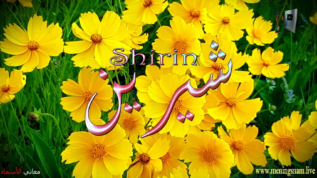 معنى اسم, شيرين, وصفات, حاملة, وحامل, هذا الاسم, sherin,