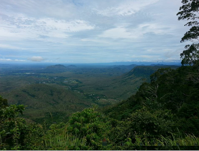 png remembrance day 2024 - is tomorrow a public holiday in png