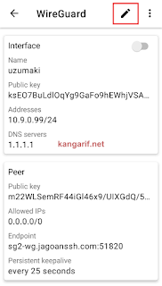 Cara Membuat Config WireGuard by.U Topping You Tube dan Instagram