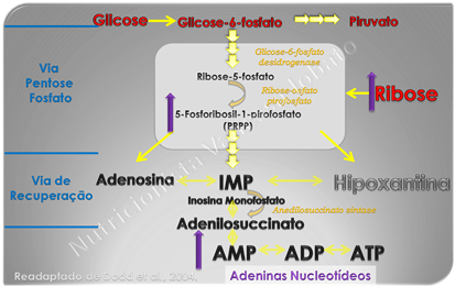 Ribose