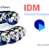 Internet Download Manager or IDM 6.11 buld 5 Final (full and preactived)