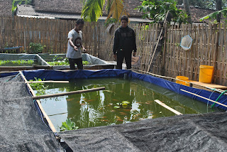 Hasil Observasi Lapangan Makalah Pencemaran Makanan 