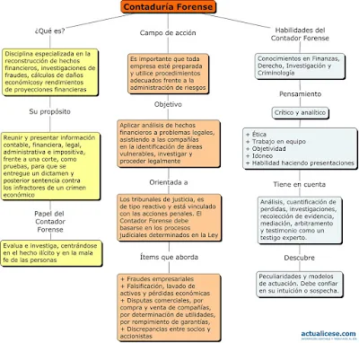 "Qué es la Contabilidad, Auditoría Forense"