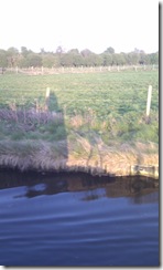 IMAG0822