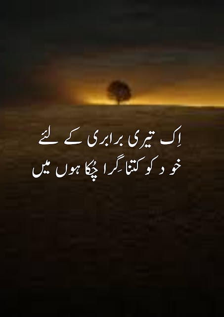 Sad Urdu Poetry 2 lines & Pic