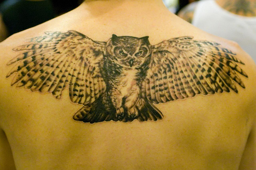 Owl Tattoos Designs Pictures and Ideas