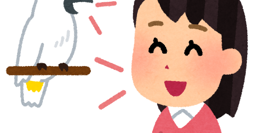 オウムに言葉を教える人のイラスト かわいいフリー素材集 いらすとや