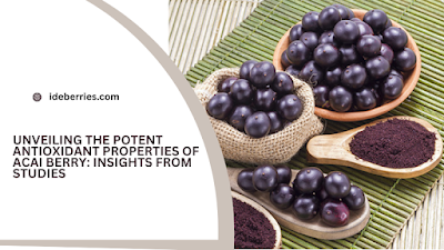 Unveiling the Potent Antioxidant Properties of Acai Berry Insights from Studies