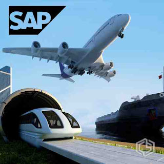 Órdenes de Transporte de Stock en SAP: Configuración y Soluciones - Consultoria-SAP.com