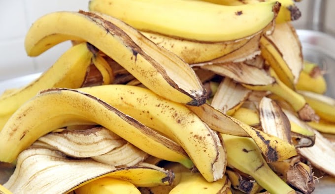 7 curiosos usos increíbles de la cáscara de plátano que no sabias