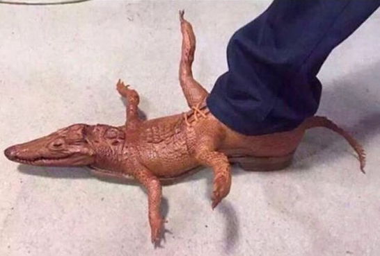 alligator shoes for men