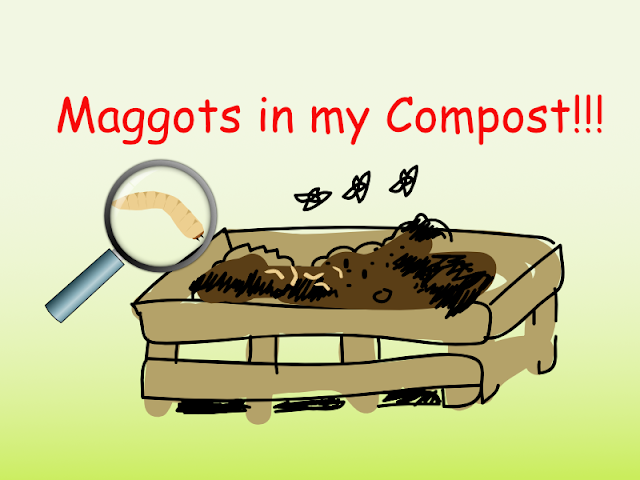 You can get bugs, animals around your composting pile. I personally hate seeing maggots in my composting pile. After having iComposteur, I don't worry about maggots anymore.