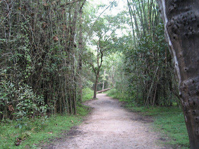 Inside Kuruva Island, Wayanad