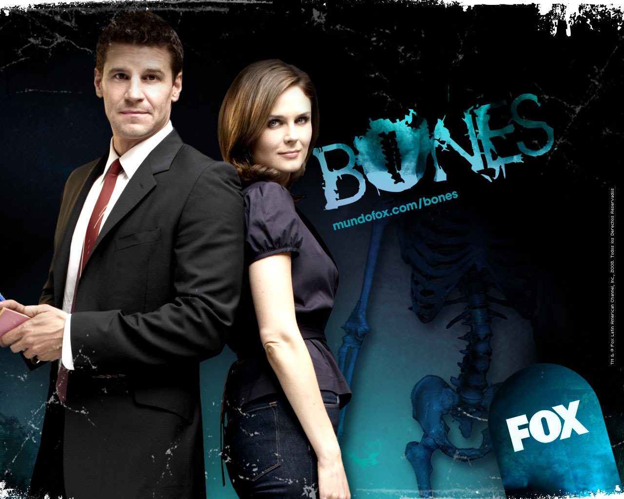 Bones Season 6 Episode 16 – The Blackout in the Blizzard