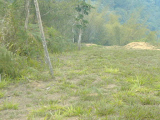 A 30 minutos de Baruta y 26 minutos desde el Hatillo, se accede a través de 2 vías hacia la Exótica , Abundante y exuberante HACIENDA LA MATA, Vía Turgua, la cual puede llevar Desde el pueblo el Hatillo pasando por Oripoto – sector gavilán o desde Baruta tomando la vía a el Placer y Los Guayabitos. Se ve lotes de terrenos (vía principal, semi inclinado, carretera interna de tierra, clima de montaña y encantadora vista de panorámica original de la zona) para realizar cultivos agrícolas o ejecutar una (1) o múltiples Vivienda Unifamiliar (inversión a largo plazo) con su atinado avaluó de estudio de suelo, cálculos estructurales (memoria descriptiva – con pilotaje) e Instalaciones Sanitarias (acceso a todos los servicios). Documento de propiedad debidamente inscrito en el Registro del Municipio El Hatillo del Estado Miranda. SE ESCUCHA OFERTA