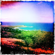 A few Maui iPhone pics to tide you all over! I've had a hard time getting . (maui )