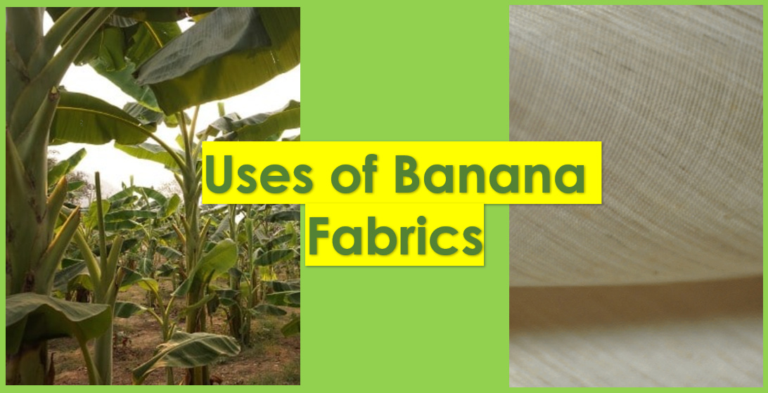 Various use of banana fabrics and banana fiber
