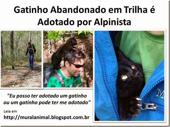 Gatinho Abandonado em Trilha é Adotado por Alpinista