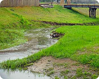 water-down