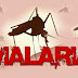 Pengobatan Alternatif dan tradisional Penyakit Malaria (demam)