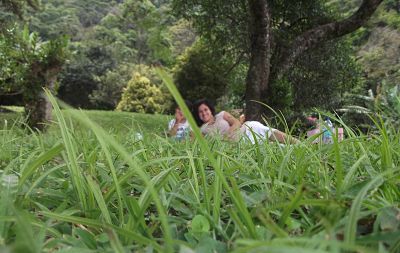 Meio Ambiente e vida sustentável