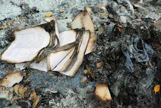 Burned Books